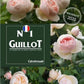 Guillot N°1