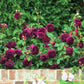 Munstead Wood®